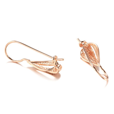 Luxury Drop Dangle Zircon Earrings