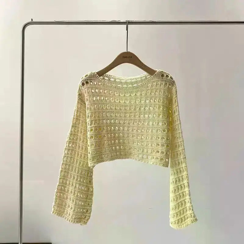 Long Sleeve Crochet Knit Top